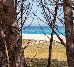 Inselrundfahrt Sardinien