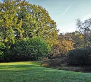 Herbstspaziergang durch den Schlosspark Lütetsburg