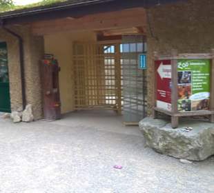 Eurasienbereich - Steinbockeingang