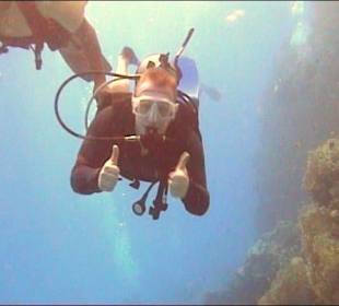 Morze Czerwone pod wodą