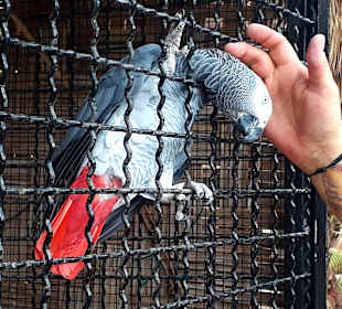 Botanischer Garten Viveiro