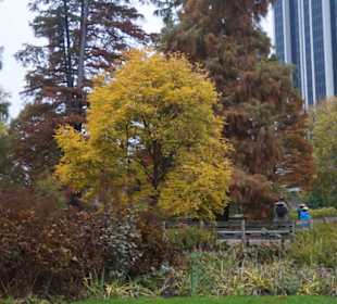 Parkanlage Planten un Blomen