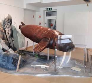 Seehundstation Norddeich in Norden