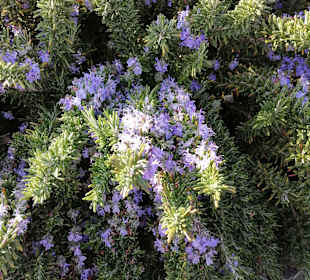 Radfahren Riva del Garda