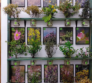 Rodos Nature - Folklore Museum