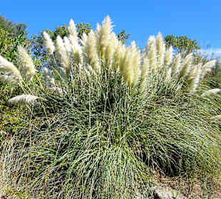 Naturschutzgebiet Du Mas Larrieu