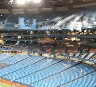 Rogers Centre ex Skydome