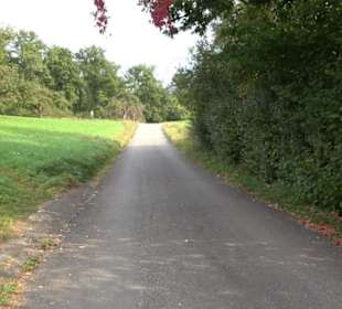 Altwege Rundwanderung Bebenhausen