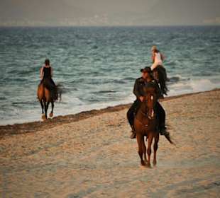 Yannis, the head guide