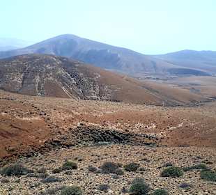 Tagesausflug Inselrundfahrt