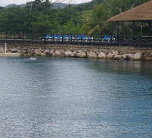 Sauber und weitläufig