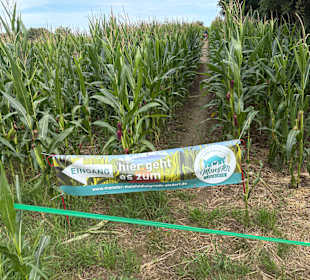 Monster-Maisfeldlabyrinth Alsdorf