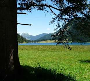 Vilsalpsee mit Einstein