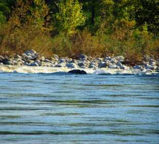 Rafting Selge National Park & Landschaft/An- & Abfahrt