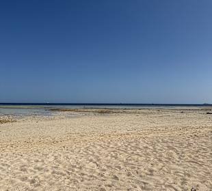 Nicht empfehlenswert!