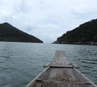 Auf dem Boot durch den Mangrovenwald