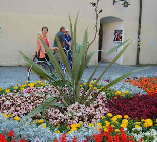 Blumen in der Altstadt