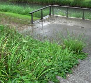 Forellenbächle Glacis Park