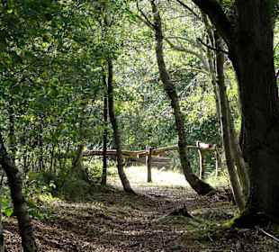 Wanderwege durch das Moor