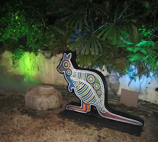 Kängurus in Singapur