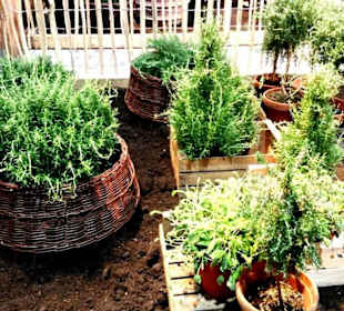 Gartenwelten Kräutergarten