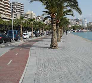 Im hafengebiet von Palma