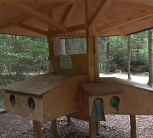 Dinosaurier Museum Altmühltal