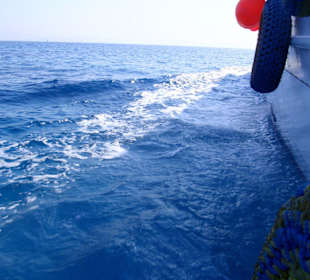 Samir's tolles Schiff