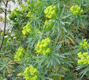 Natur am Weg zu Arco Naturale