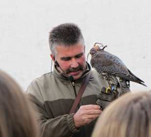 Flugshow Falkenhof Augustusburg