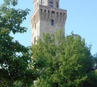 Museo La Specola