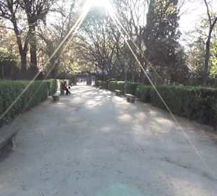 Real Jardín Botánico de Madrid
