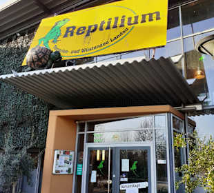 Reptilium in Landau in der Pfalz