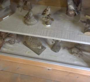 Heimatmuseum Oberstdorf