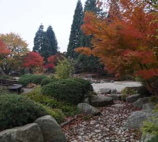 Parkanlage Planten un Blomen