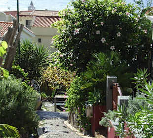 Gasse in Jardim do Mar