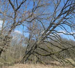Bei einem Spaziergang am Sennfelder Seenkranz