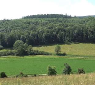 Burgruine Niederhaus