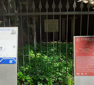 Mithraskapelle am Halberg in Saarbrücken