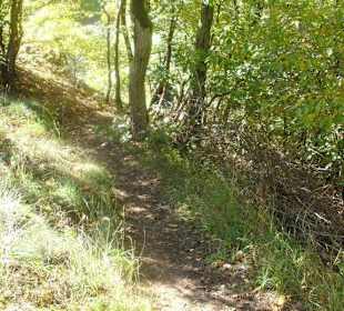 Leichter Anstieg