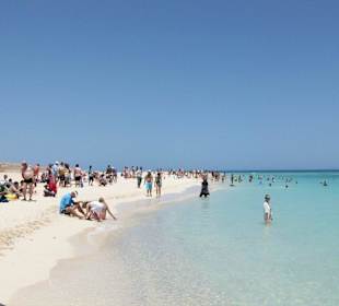 Paradise Island 