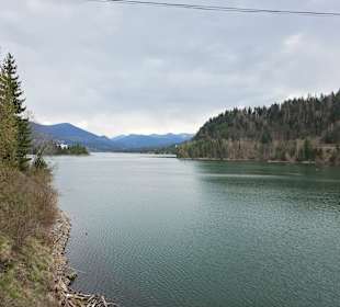 Colibita See