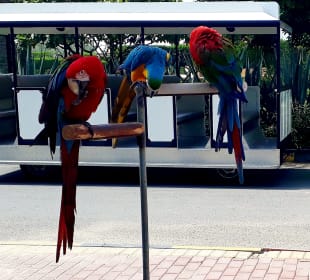 Al Areen Wildlife Park