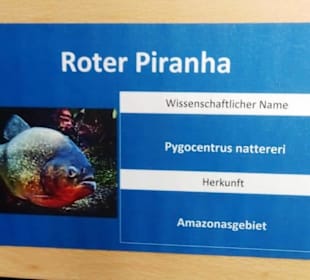 Beschriftung der Becken des Aquariums Wasserbillig