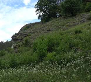 Tiefental Aichstetten