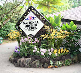 Orchid Garden in Singapore