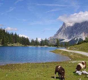 Sebensee
