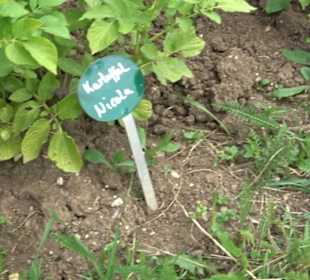 ALB-GOLD Naturgarten