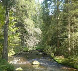 Wunderbare Wanderung am Großen Regen