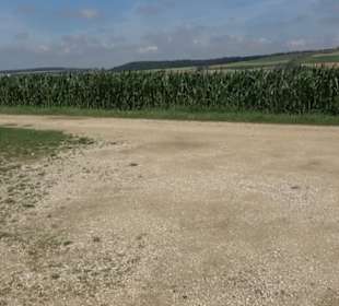 Wacholderheide Hoher Stein